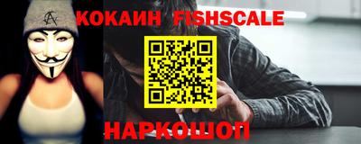 крисы Гатчина