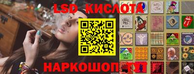 крисы Гатчина