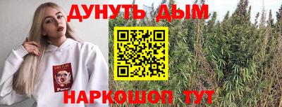 крисы Гатчина