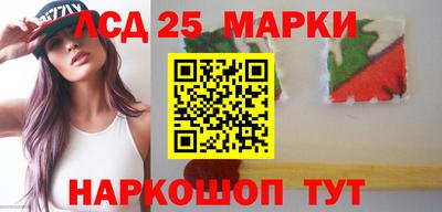 крисы Гатчина