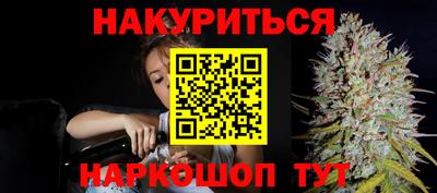 крисы Гатчина