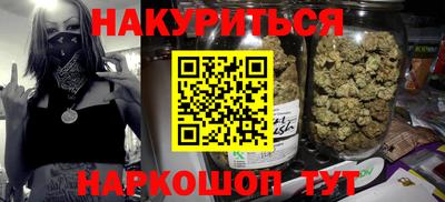 крисы Гатчина